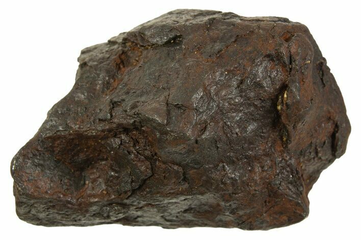 Canyon Diablo Iron Meteorite ( g) - Arizona #335971